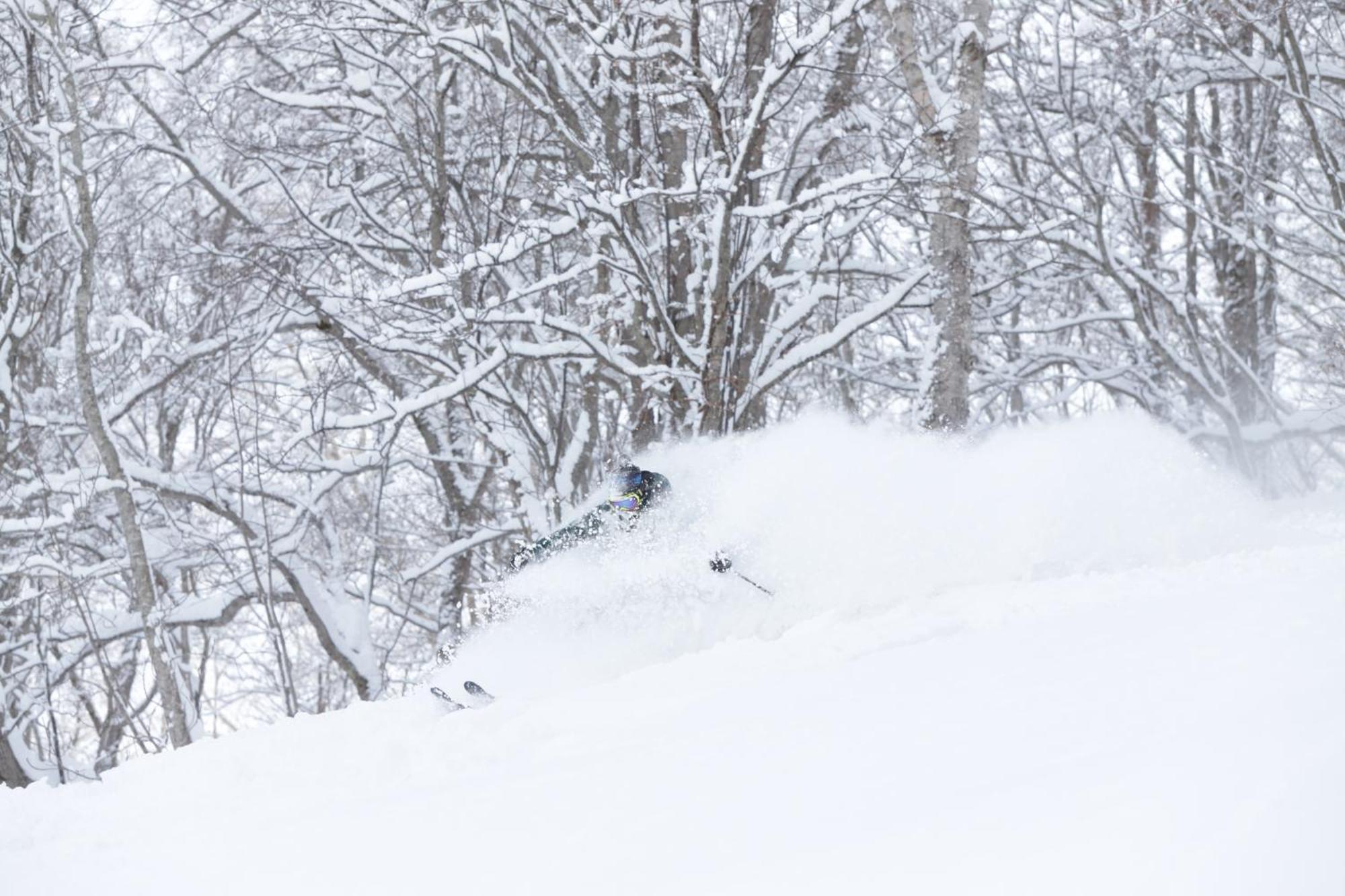 Niseko Highland Cottages 外观 照片