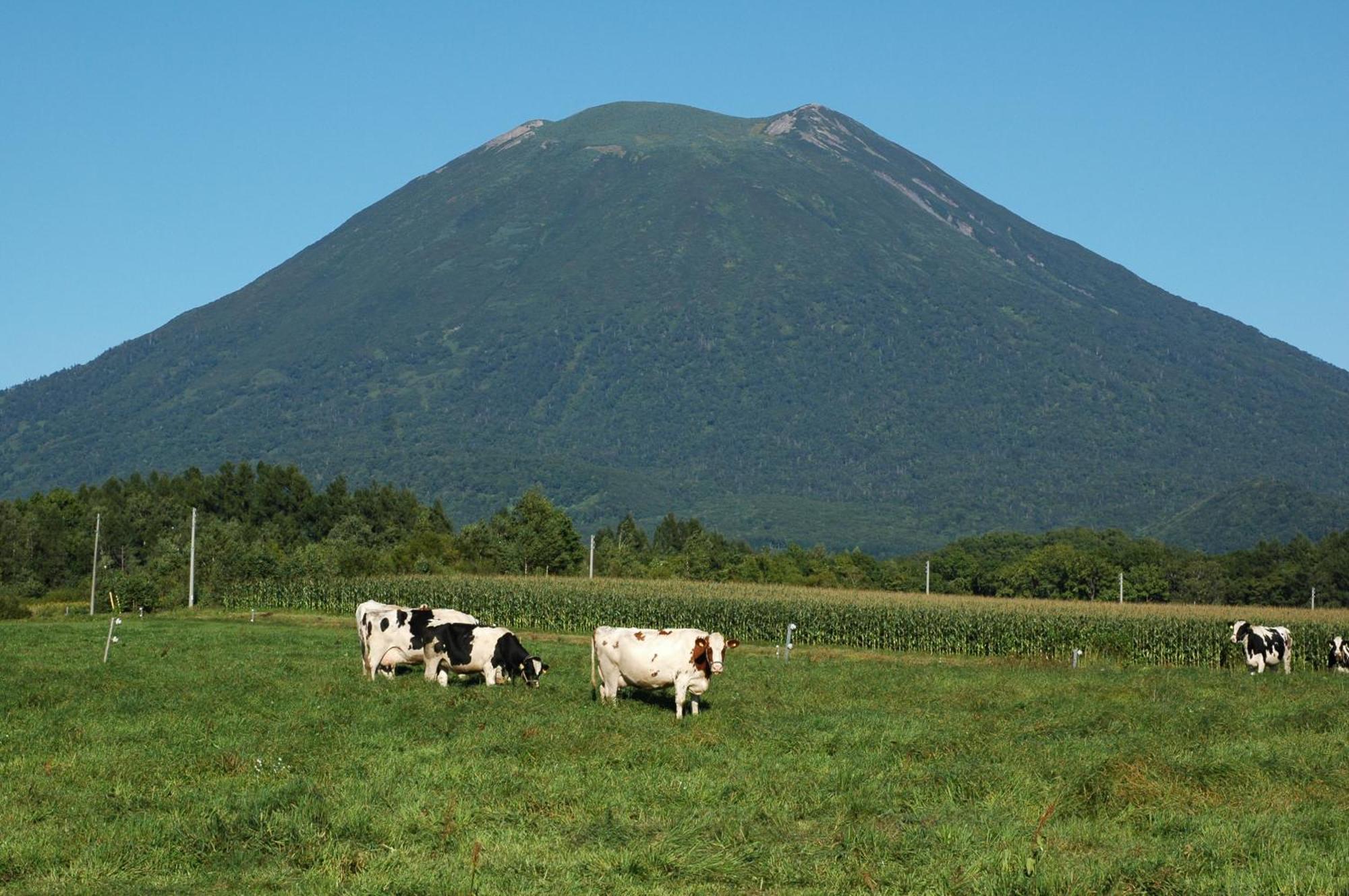 Niseko Highland Cottages 外观 照片