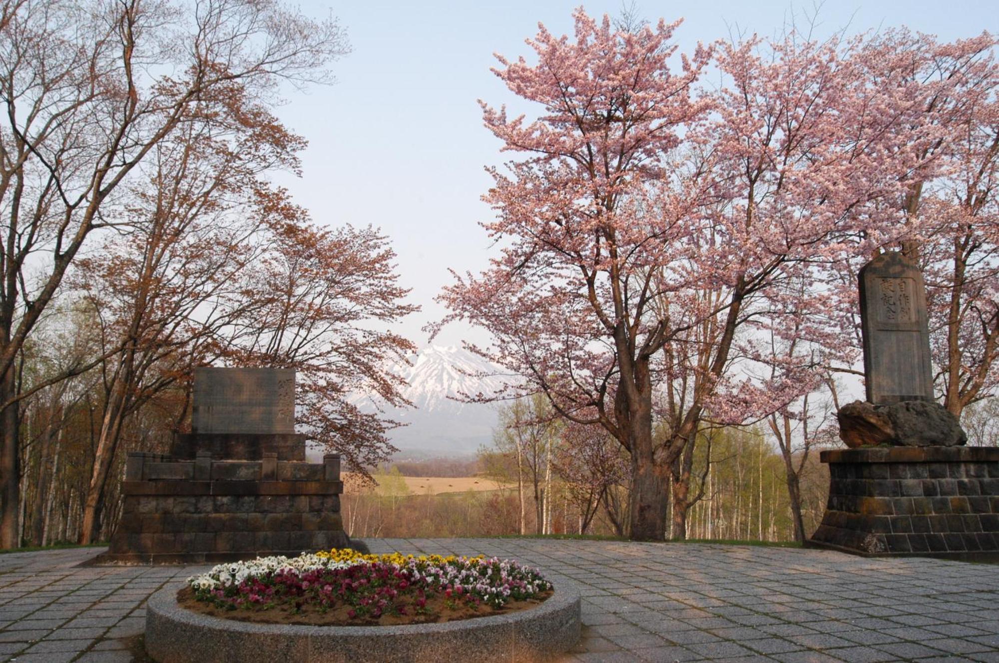 Niseko Highland Cottages 外观 照片